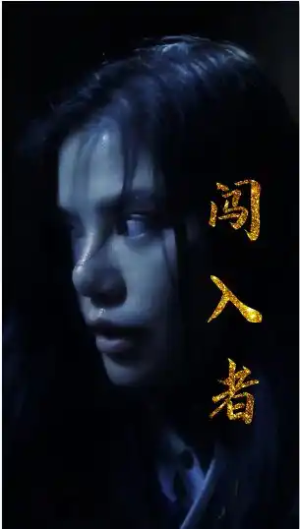 闯入者(51集) 闯入者(51集)免费看短剧全集