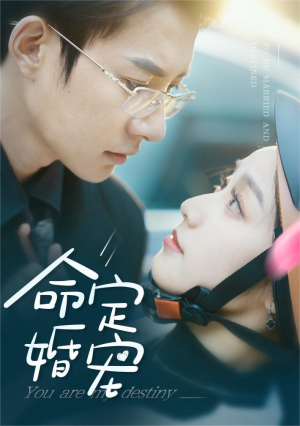 命定婚宠（61集）在线看完整版