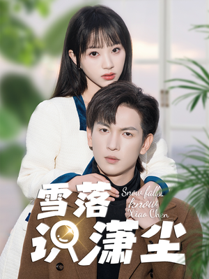 雪落识潇尘(80集) 雪落识潇尘(80集)在线观看