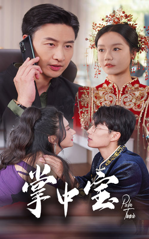 掌中宝(31集) 掌中宝(31集)好看短剧分享