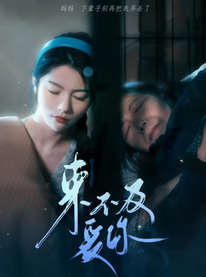 来不及爱你(80集) 来不及爱你(80集)好看吗