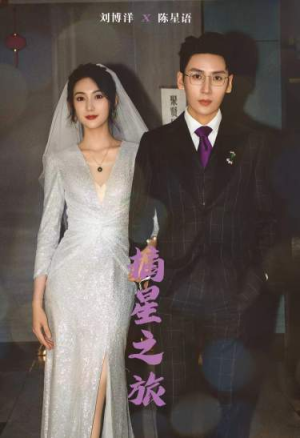 摘星之旅（88集）最后的大结局