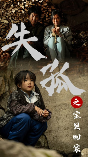 失孤之宝贝回家(71集) 失孤之宝贝回家(71集)精彩短剧后续