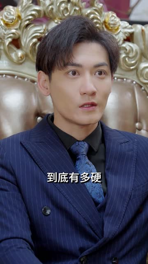 大夏帝骄（84集）短剧完整版免费