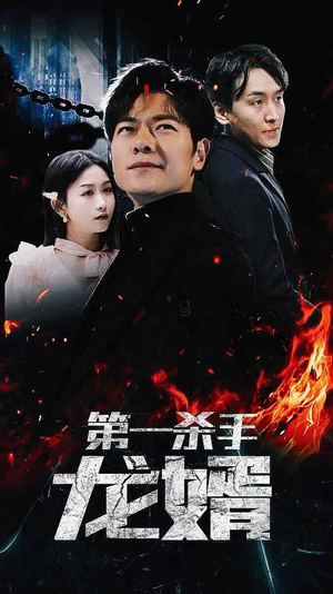 第一杀手龙婿（100集）真的太精彩了