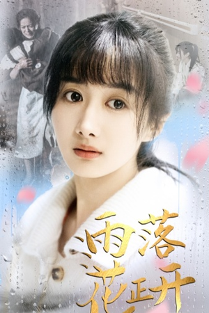 雨落花正开(62集) 雨落花正开(62集)热门短剧排行榜
