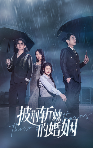 披荆斩棘的婚姻(70集) 披荆斩棘的婚姻(70集)热门火爆短剧
