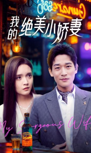 我的绝美小娇妻(80集) 我的绝美小娇妻(80集)第二季