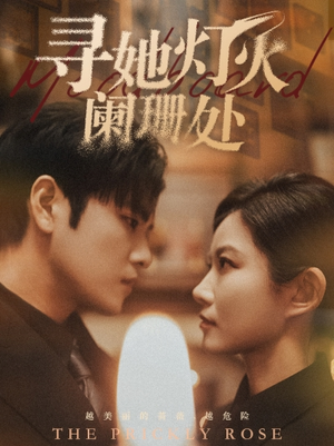 寻她灯火阑珊处(61集) 寻她灯火阑珊处(61集)最新热剧免费看