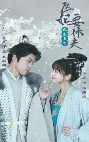 权宠天下：医妃要休夫（94集）集免费看短剧