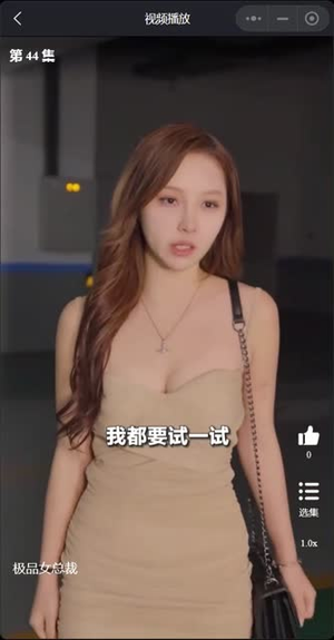 我的富豪美女总裁（我的极品女总裁）免费短剧全集看