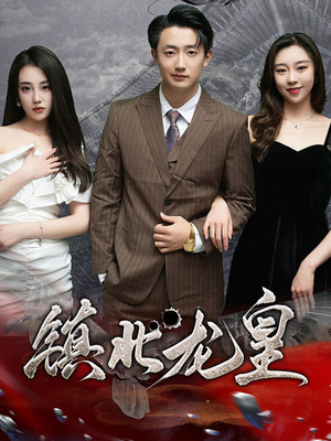 镇北龙帅(97集) 镇北龙帅(97集)精彩短剧上线