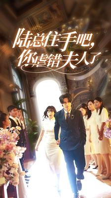 陆总住手吧,你虐错夫人了(80集) 陆总住手吧,你虐错夫人了(80集)精彩的网络短剧