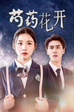 火光中的芍药花（77集）短剧全集完整版