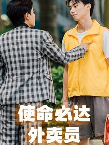 使命必达外卖员(31集) 使命必达外卖员(31集)全集免费看短剧