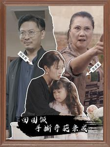 团圆饭手撕奇葩亲戚（40集）网盘在线观看