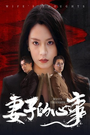 妻子的心事（60集）看到了大结局