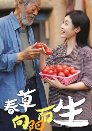 春草向阳而生(53集) 春草向阳而生(53集)一起追短剧吧