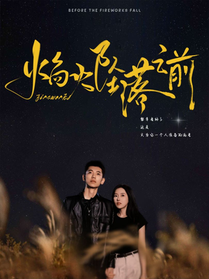 焰火坠落之前(99集) 焰火坠落之前(99集)爱上了这部剧了