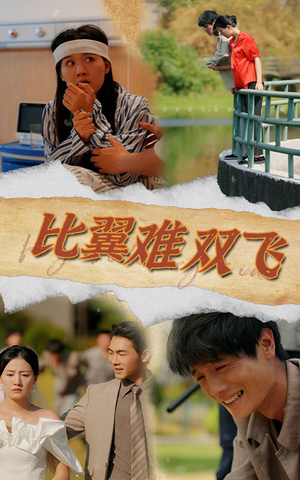 比翼难双飞(30集) 比翼难双飞(30集)更新时间