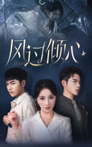 风过倾心(62集) 风过倾心(62集)短剧分享剧集