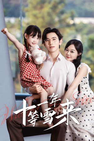 十一年等雪来(50集) 十一年等雪来(50集)解说