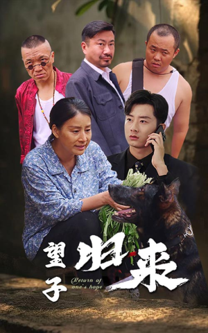 望子归来(50集) 望子归来(50集)热播短剧免费看
