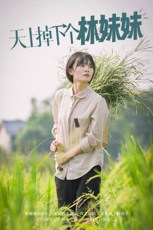 天上掉下个林妹妹(81集) 天上掉下个林妹妹(81集)短剧推荐来了