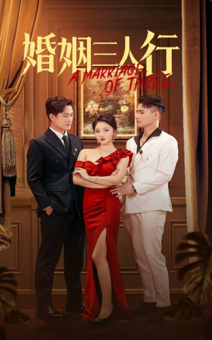 婚姻三人行(31集) 婚姻三人行(31集)在哪个平台能看