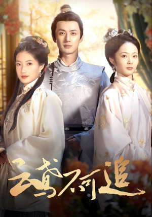 云鸢不可追(42集) 云鸢不可追(42集)海量资源免费看