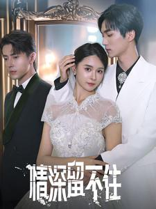 情深留不住(80集) 情深留不住(80集)短剧看全集