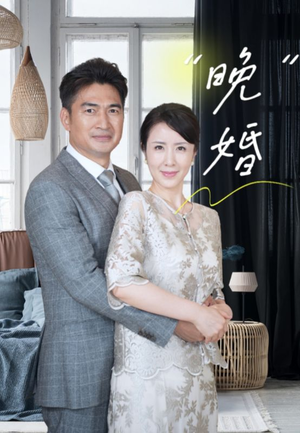 晚婚(65集) 晚婚(65集)短剧热播抢先看