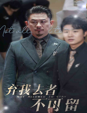 生命它璀璨如歌（60集）女主角是谁