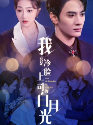 我竟是冷脸上司的白月光(80集) 我竟是冷脸上司的白月光(80集)简直不要太好看