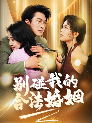 别碰我的合法婚姻（30集）大结局一气呵成