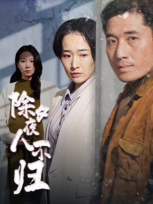 除夕夜人不归(47集) 除夕夜人不归(47集)热播短剧免费看