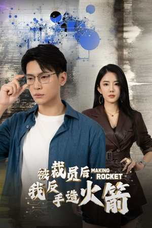 被裁员后,我反手造火箭(30集) 被裁员后,我反手造火箭(30集)男主角是谁