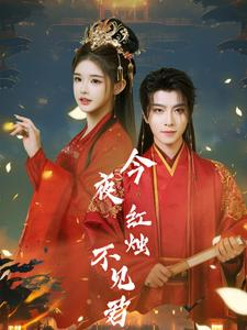 今夜红烛不见君(74集) 今夜红烛不见君(74集)经典老剧免费看