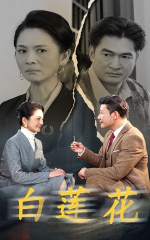 白莲花（40集）全集免费观看