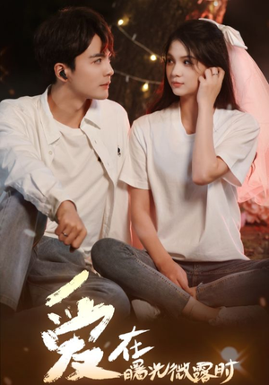 爱在曙光微露时(49集) 爱在曙光微露时(49集)第二季