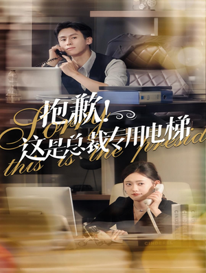 抱歉!这是总裁专用电梯(60集) 抱歉!这是总裁专用电梯(60集)短剧精彩绝伦
