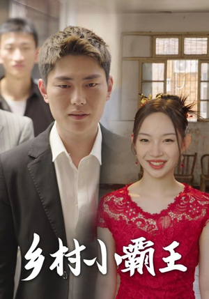 乡村小霸王(80集) 乡村小霸王(80集)在线看