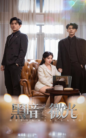 黑暗微光（66集）红果短剧看全集