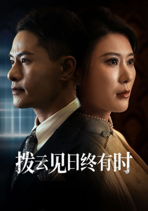 拨云见日终有时(30集) 拨云见日终有时(30集)热门火爆短剧