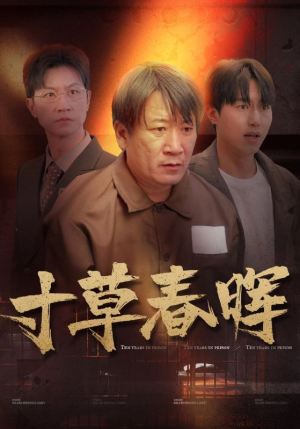 寸草春晖(31集) 寸草春晖(31集)爆火短剧追不停