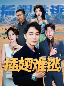 插翅难逃（43集）免费短剧看全集