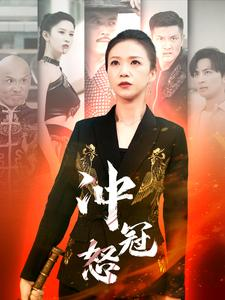 冲冠怒(93集) 冲冠怒(93集)排行榜前十短剧