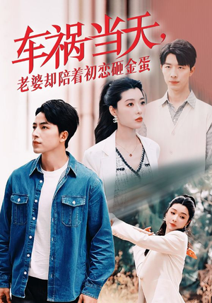 车祸当天，老婆却陪着初恋砸金蛋（46集）演员表