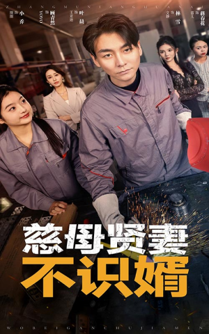 慈母贤妻不识婿(45集) 慈母贤妻不识婿(45集)热门短剧推广