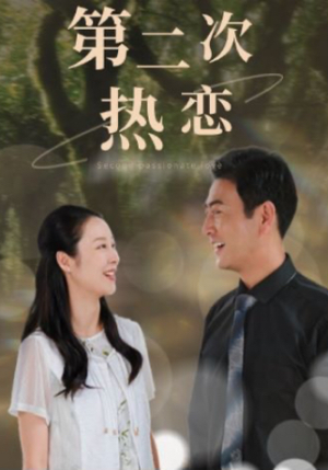 第二次热恋(48集) 第二次热恋(48集)一共多少集